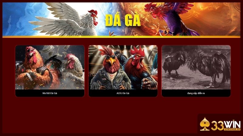 Đá gà 33WIN - Live đá gà Thomo với hơn 100+ trận đấu 3 Bạn dễ dàng lựa chọn được sảnh chơi yêu thích